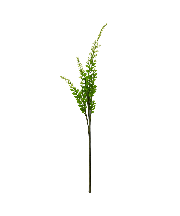 Salbei Blume in weiß | Bloom