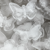 Eiswürfel Schmetterling | Clea