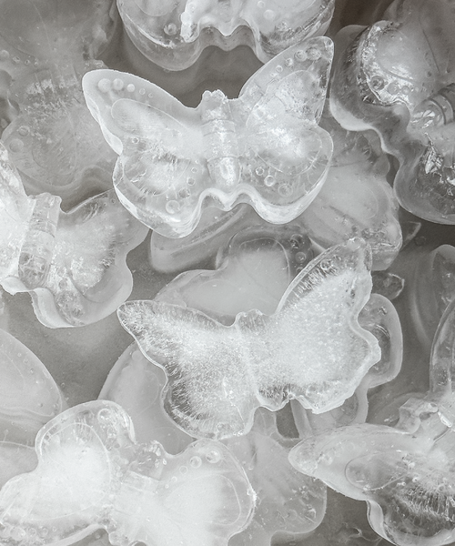 Eiswürfelform Schmetterling aus der Serie Clea – Produktansicht