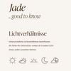Telleruntersetzer Taupe/Creme | Jade