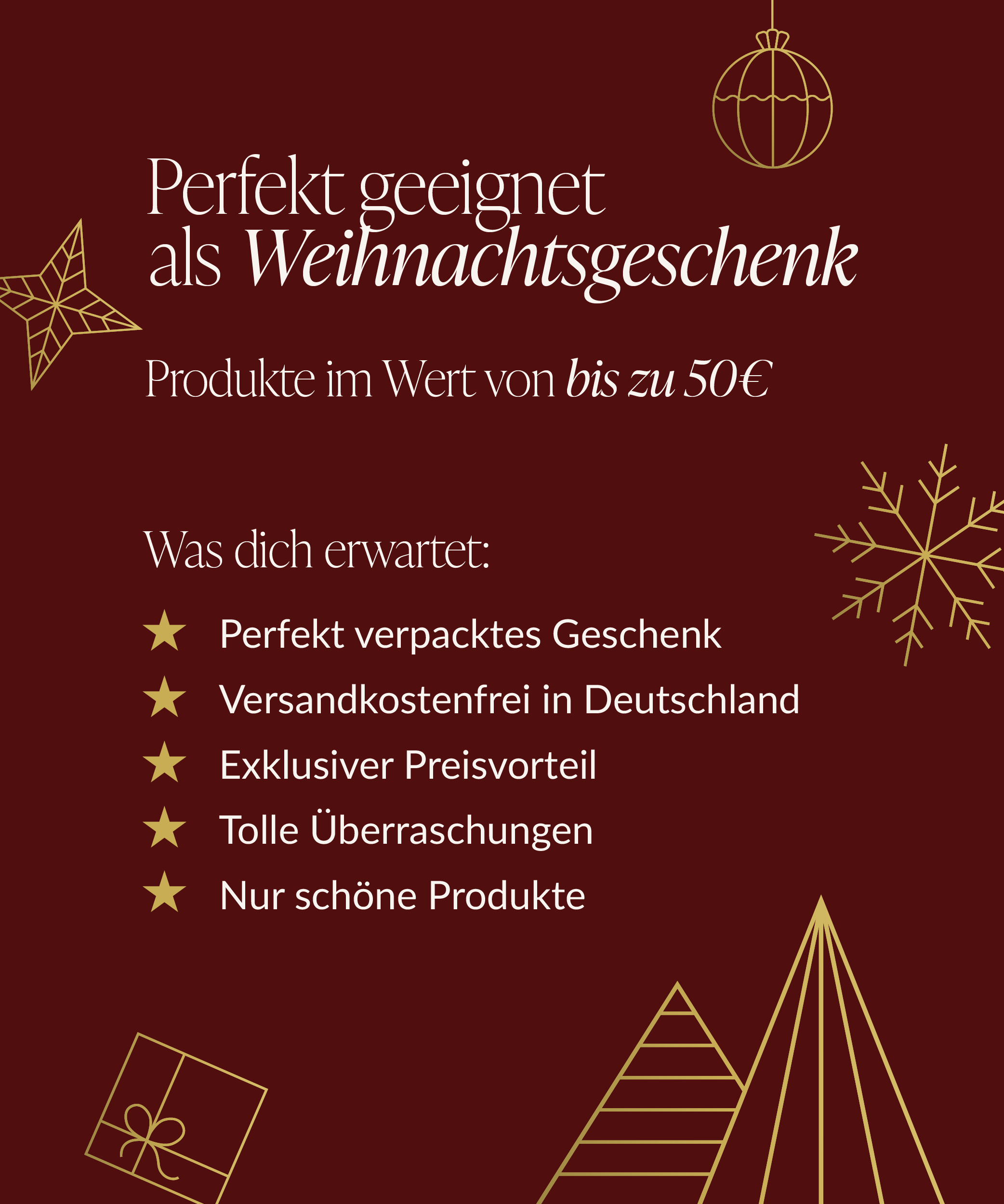 Christmas Mystery Bag 🎁