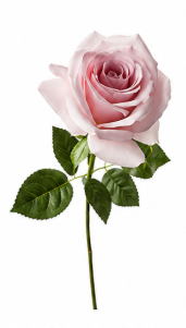 Realistische Kunstblumen Große Rose in Hellrosa – bloom collection von 7 O'CLOCK
