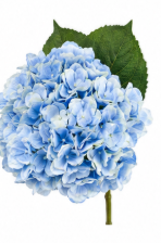 Realistische Kunstblumen Hortensie in Blau – bloom collection von 7 O'CLOCK