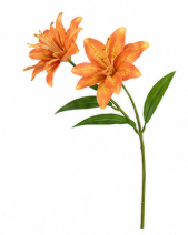Realistische Kunstblumen Kleine Lilie mit zwei Blüten in Orange – bloom collection von 7 O'CLOCK