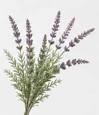 Realistischer Kunstzweig Lavendel – bloom collection von 7 O'CLOCK