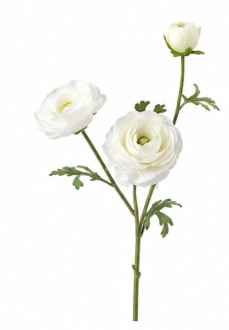 Realistische Kunstblumen Ranunkel in Weiß – bloom collection von 7 O'CLOCK