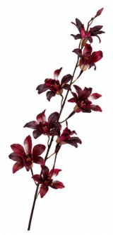 Realistische Kunstblumen Dendrobie in Dunkelrot – bloom collection von 7 O'CLOCK