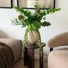 Jungle Luxe 14er Bouquet in Grün & Braun | Bloom