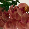 Orchid Muse 11er Bouquet in Rosa & Grün | Bloom