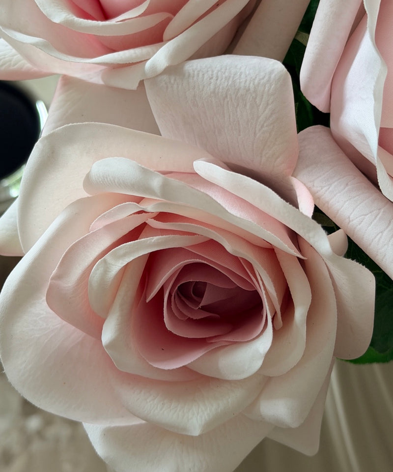 Rosen Bouquet Hellrosa – Nahaufnahme der Rosenblüte – Bloom von 7 O'CLOCK
