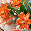 Wild Flame 7er Bouquet in Orange & Grün | Bloom