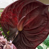 Wild Velvet 10er Bouquet in Grün, Altrosa & Bordeaux | Bloom