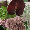 Wild Velvet 10er Bouquet in Grün, Altrosa & Bordeaux | Bloom