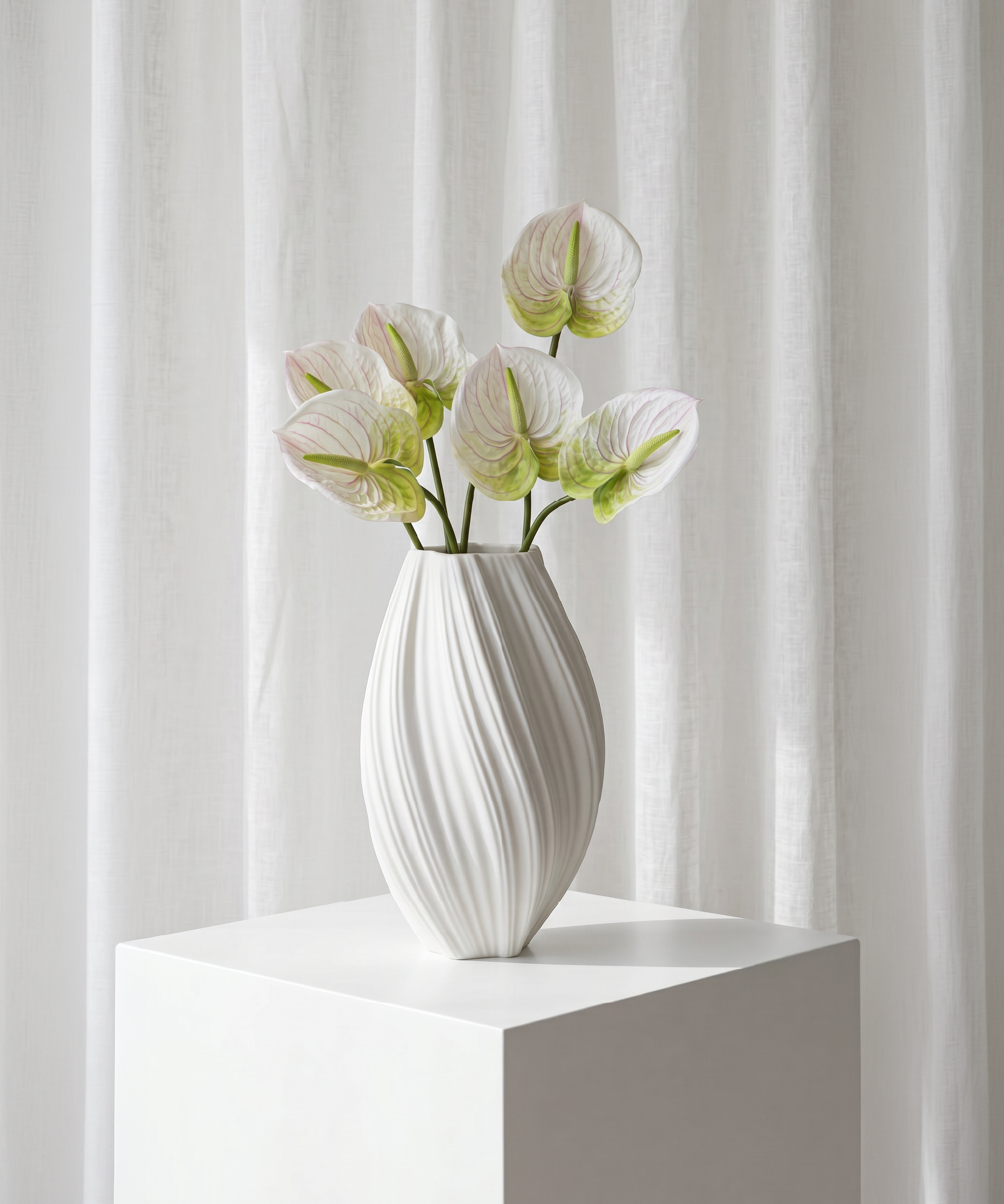 Anthurium 6er Bouquet in Weiß | Bloom