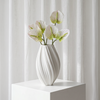 Anthurium 6er Bouquet in Weiß | Bloom