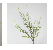 Salbei Blume in weiß | Bloom