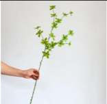 Glockenblatt | Bloom