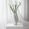 Calla-Lilie 6er Bouquet in Weiß | Bloom