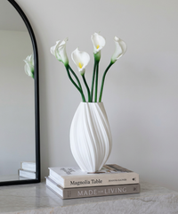Calla-Lilie 6er Bouquet in Weiß | Bloom