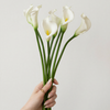 Calla-Lilie 6er Bouquet in Weiß | Bloom