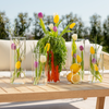 Mittleres Aufbewahrungsglas | Caya
