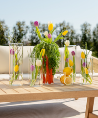 Aufbewahrungsglas Set | Caya