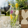 Mittleres Aufbewahrungsglas | Caya