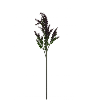 Kleiner Eukalyptus in Lila | Bloom