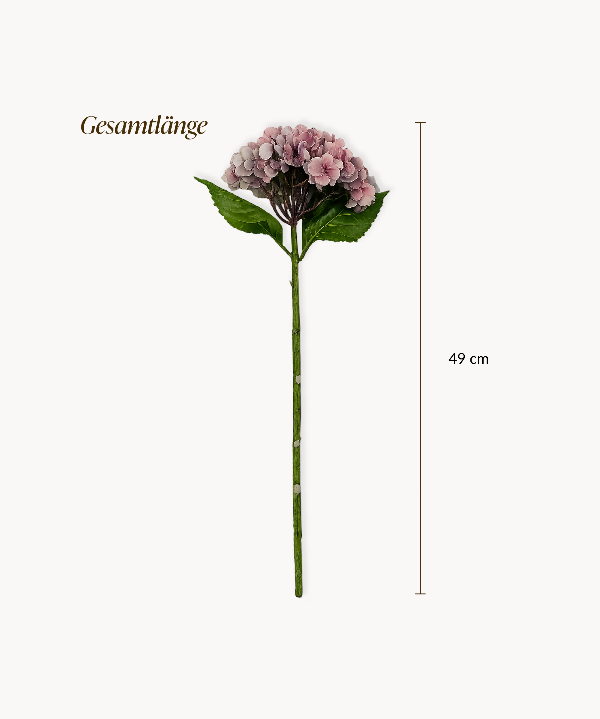 Hortensien 4er Bouquet in Altrosa | Bloom