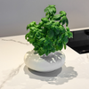 Runde Keramik Vase mit breiter & flacher Form | Maira