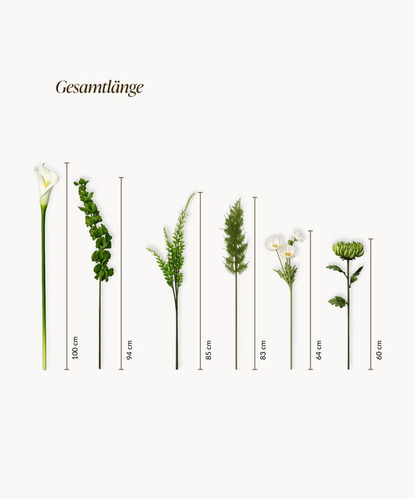 Calla Rising 15er Bouquet in Weiß & Grün | Bloom