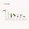 Green Silence Set – 9er Bouquet + Längliche Keramik Vase
