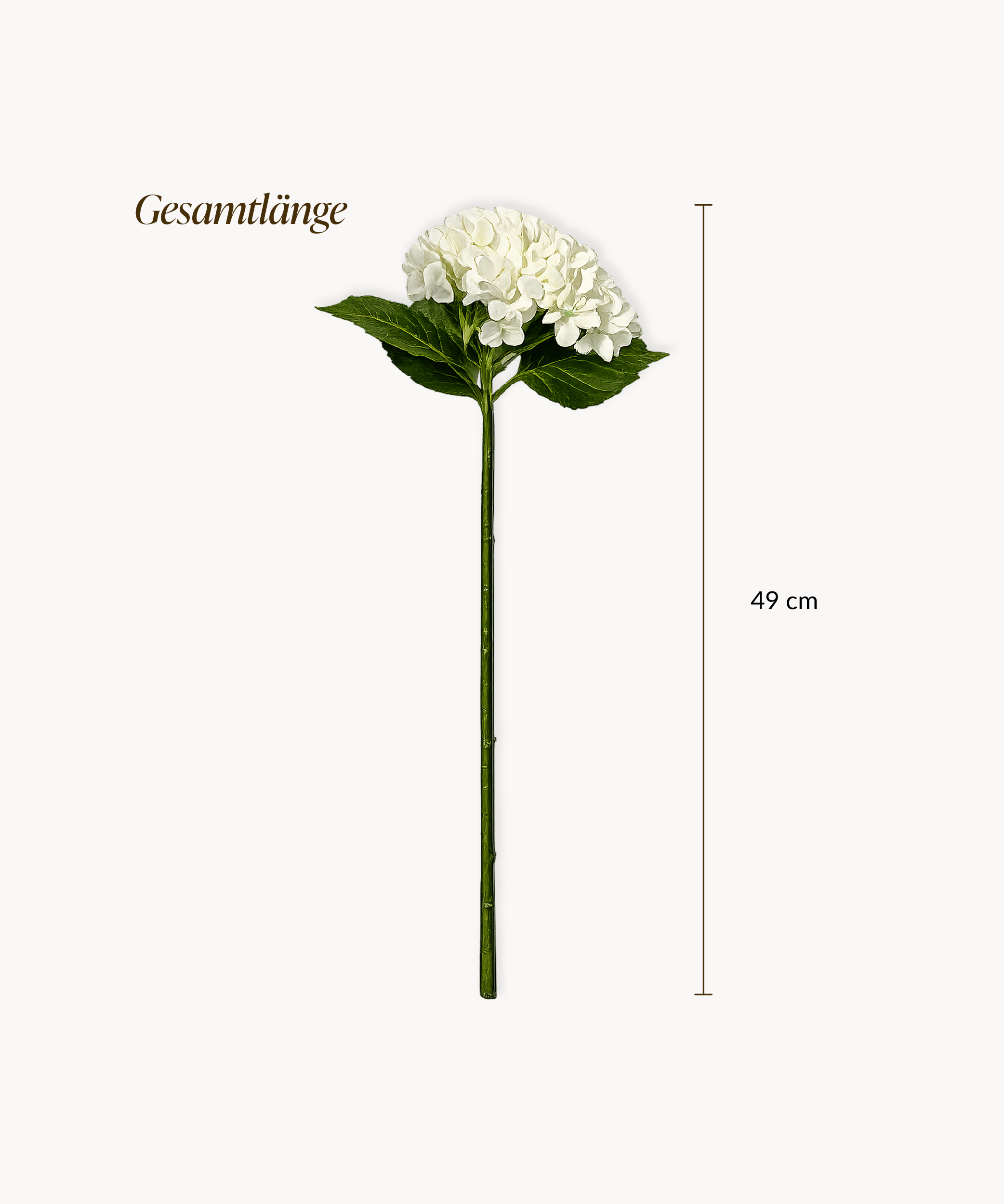 Hortensien 4er Bouquet in Weiß | Bloom