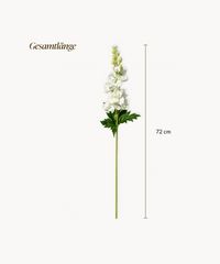 Levkojen 5er Bouquet in Weiß | Bloom
