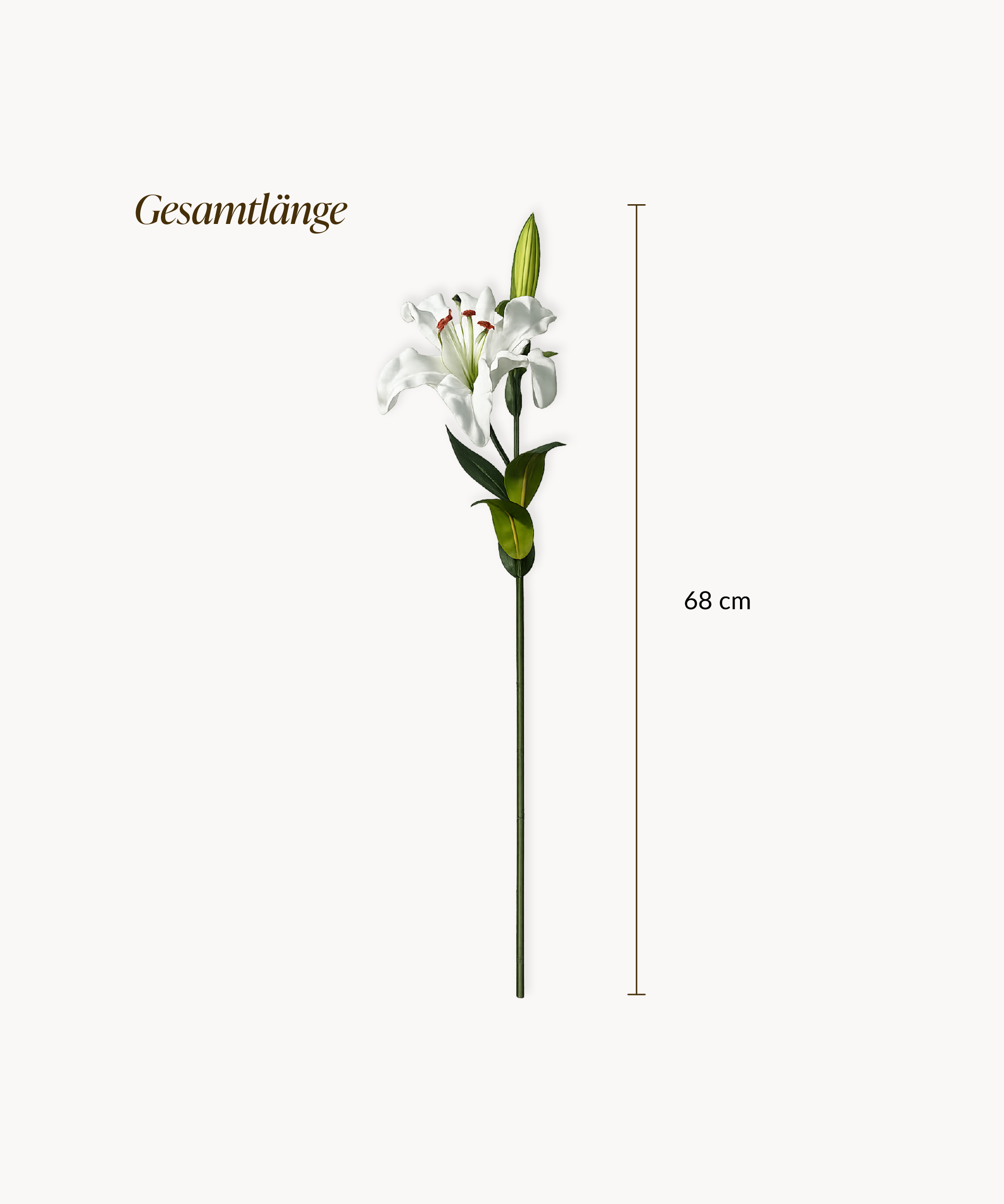 Lilien 6er Bouquet in Weiß | Bloom