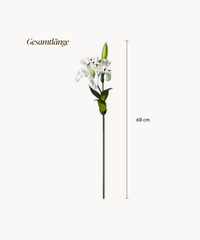 Lilien 6er Bouquet in Weiß | Bloom