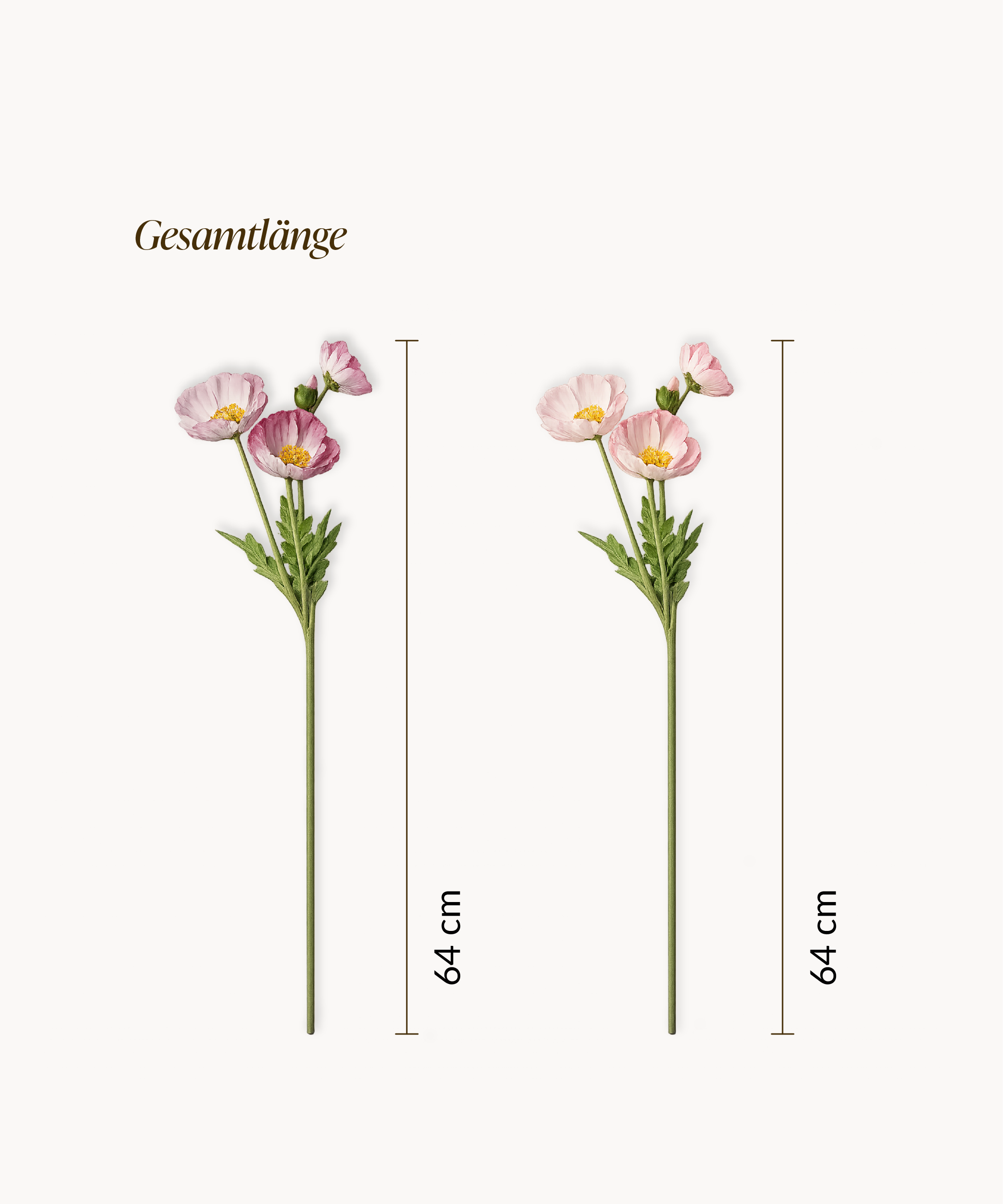 Mohnblüte 8er Bouquet in Pink & Rosa | Bloom