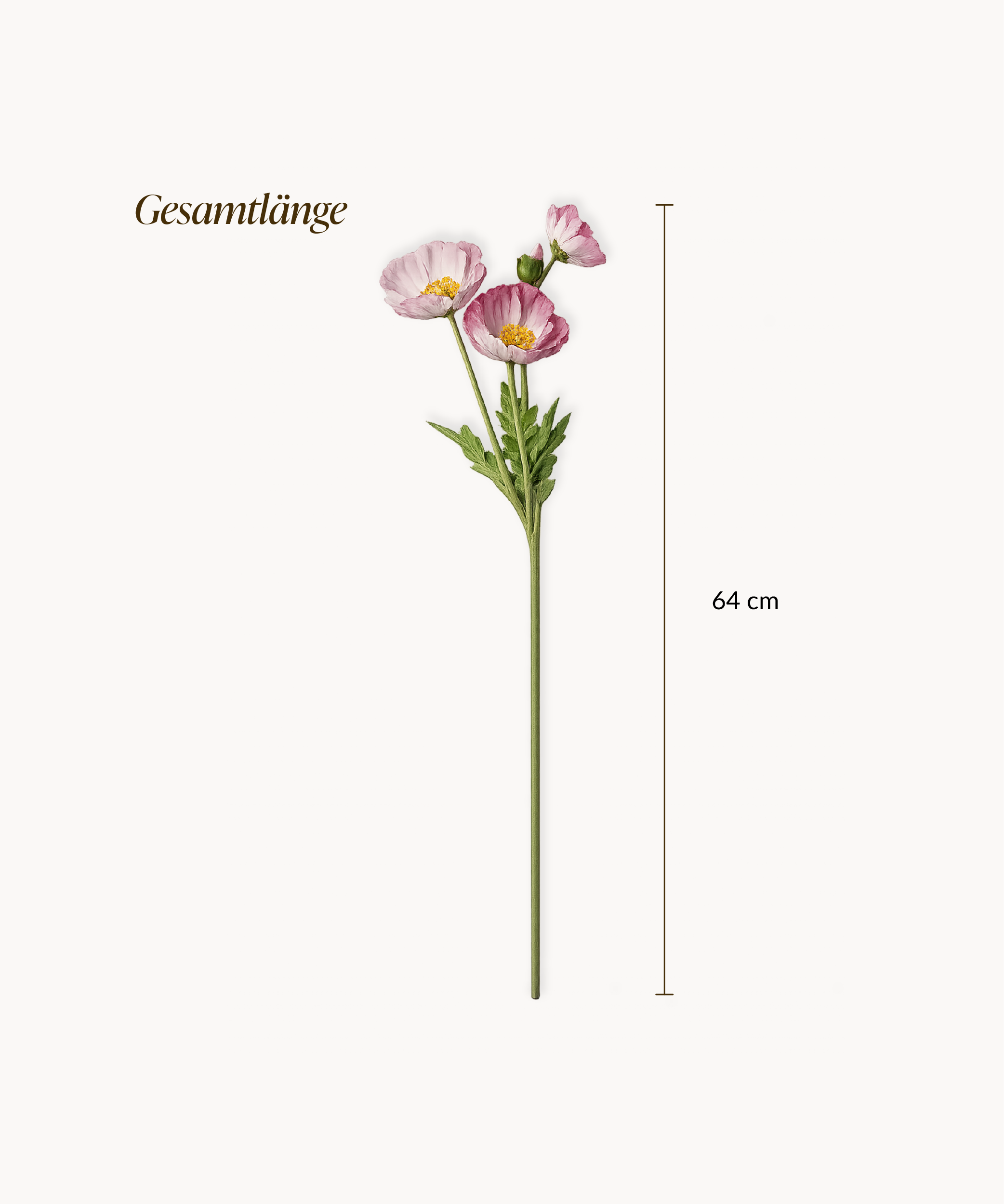 Mohnblüten 8er Bouquet in Pink | Bloom
