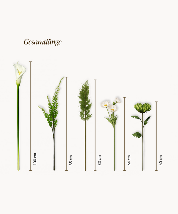Pure Fern 13er Bouquet in Weiß & Grün | Bloom