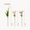 Rosy Wild 9er Bouquet in Rosa & Pink | Bloom