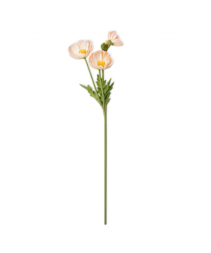 Mohnblüten in Coral | Bloom