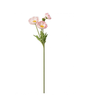 Mohnblüten in Rosa | Bloom