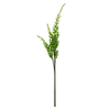 Salbei Blume in weiß | Bloom
