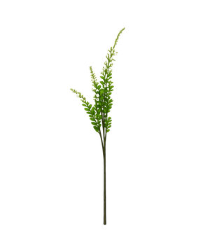 Salbei Blume in weiß | Bloom