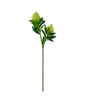 Beerenzweig in Weiß | Bloom